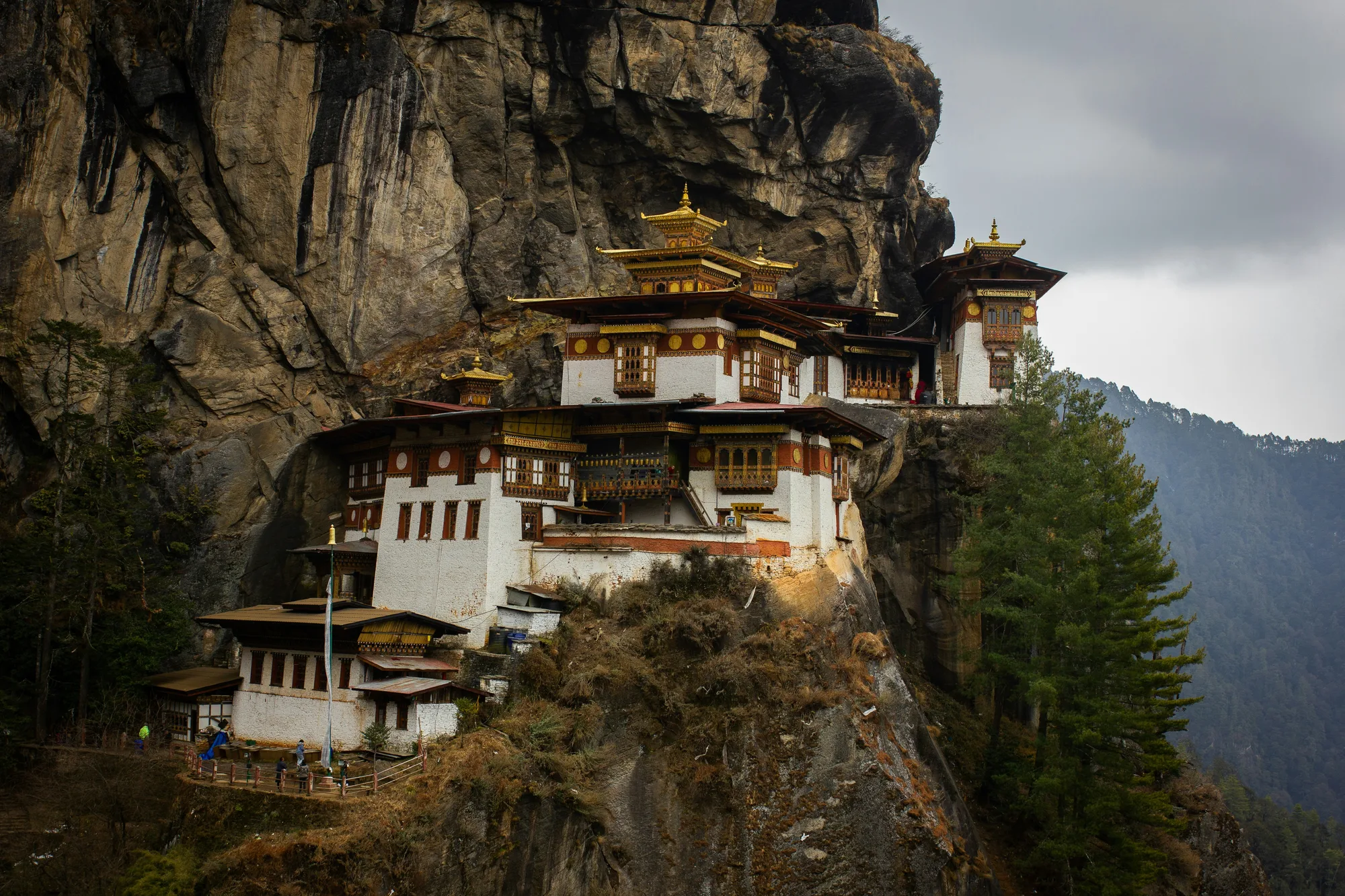 Bhutan Highlights — Paro, Thimphu & Punakha (5N6D)